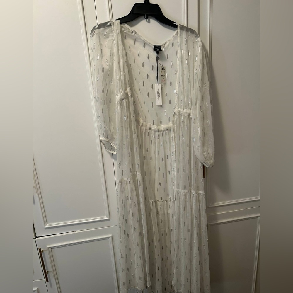 Sheer White Maxi dress with Silver Accents